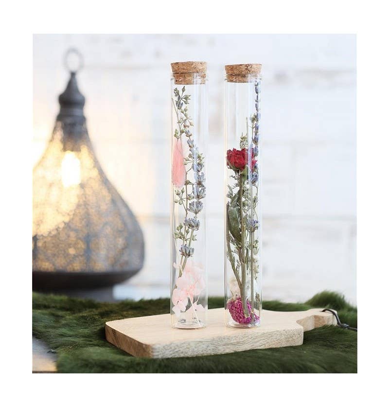 Dutch Flower Studio – Flores secas/prensadas por atacado – Tubos decorativos com flores secas para interiores1