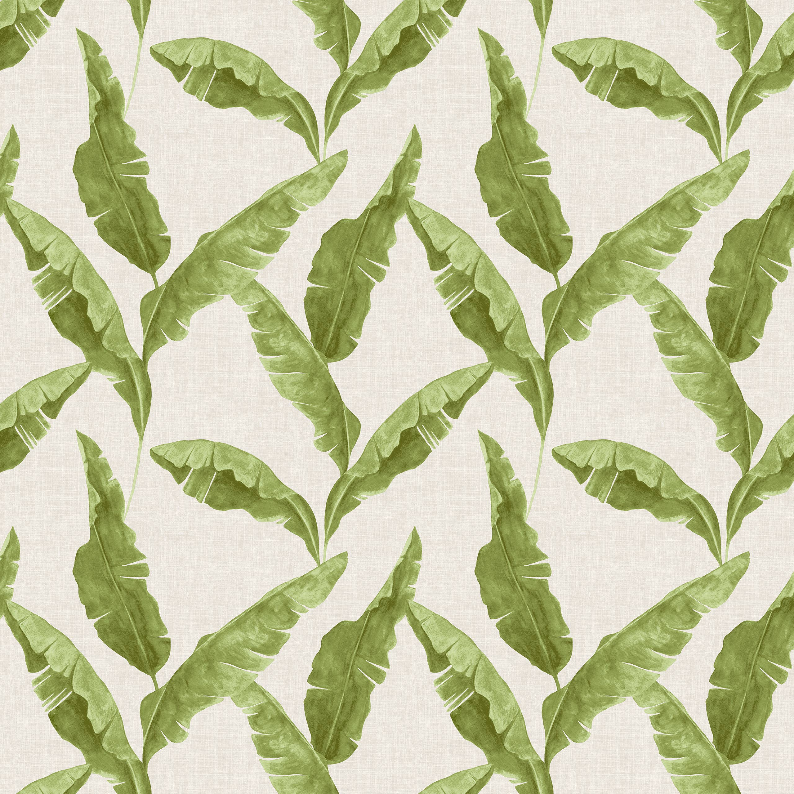 Plantain Wallpaper Green for wholesale on Faire2