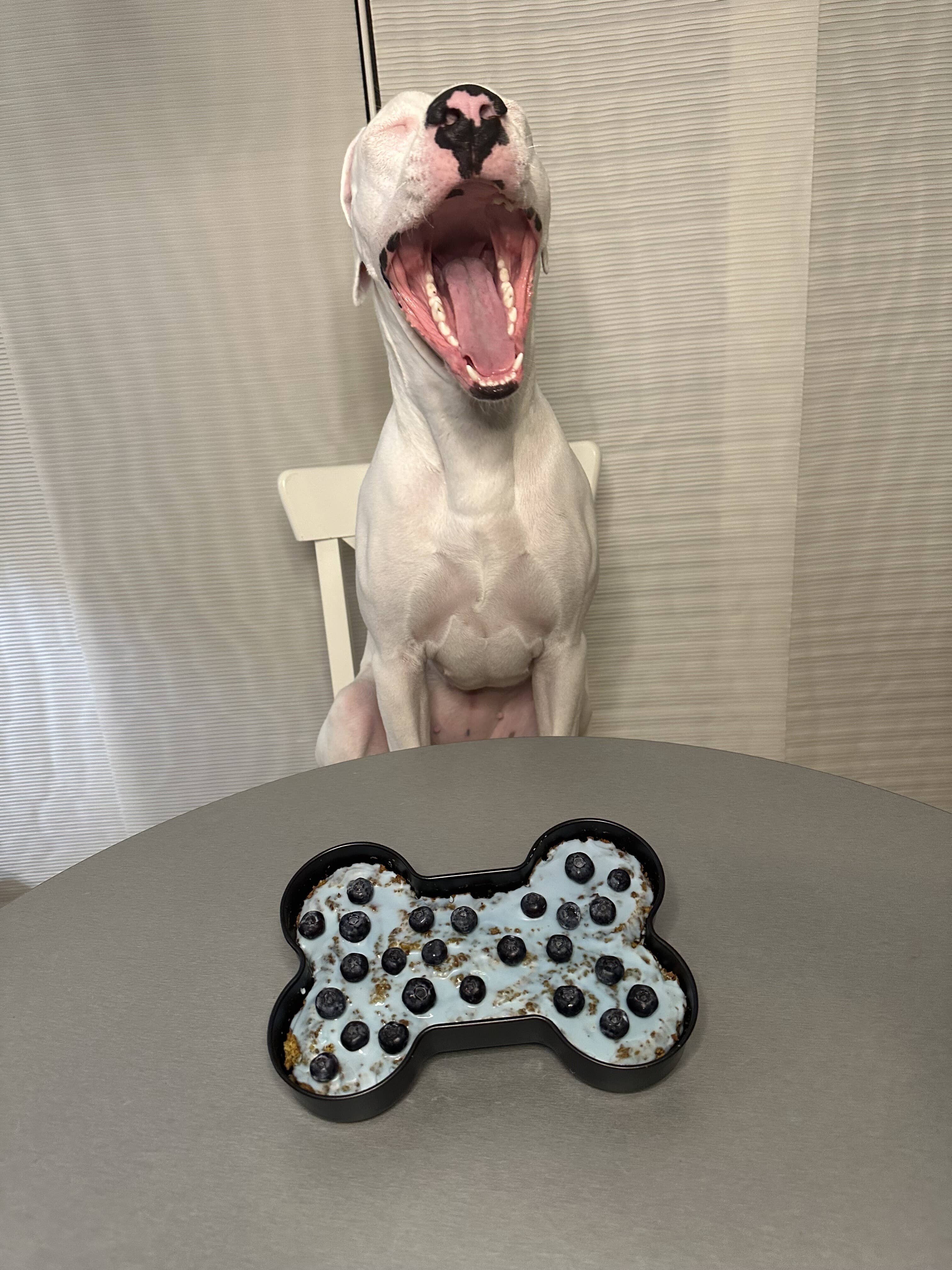 Midlee Designs - Wholesale Cake Pan - Midlee Nonstick Bone Shape Pan (Cake)5