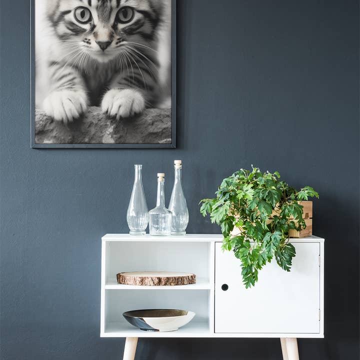 paperwhite Baby Cat Poster - Vintage Black White Photo for wholesale on Faire