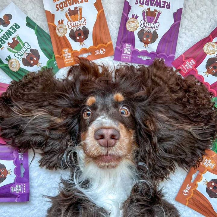 Denzel's - Healthy Dog Treats - Wholesale Pet Treats - Dog - Rewards: Chicken & Mango Rosettes 70g (Case of 10)