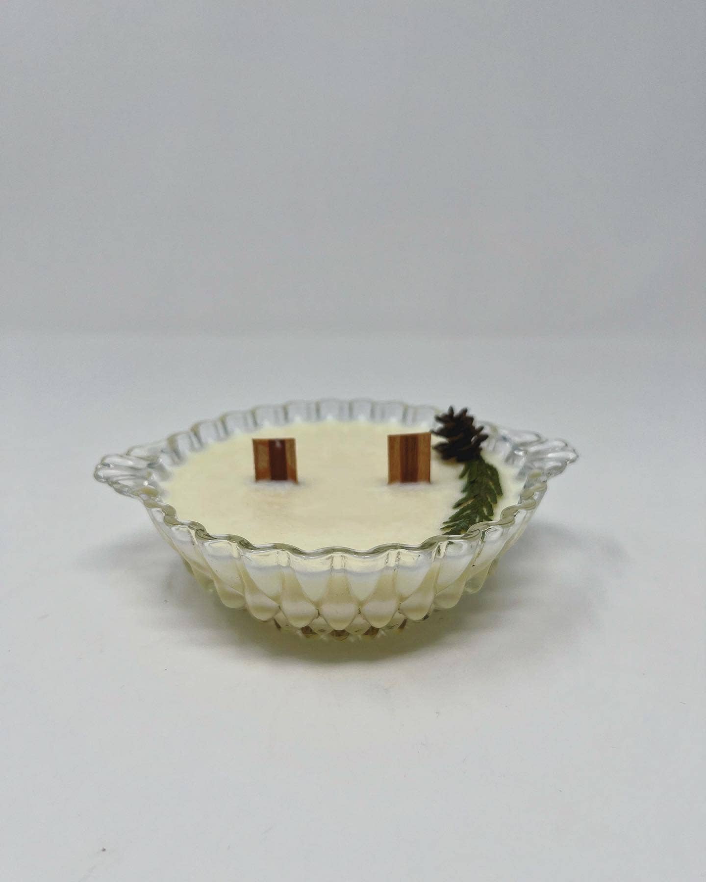 Philodendron and Fern Co. - Wholesale Jar/Filled Candle - One of a Kind Finds Candle1