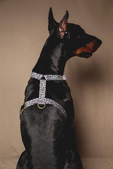 Pompon & Pets - Wholesale Pet Harness - Dog - Leopard Harness - Waterproof Fabric1
