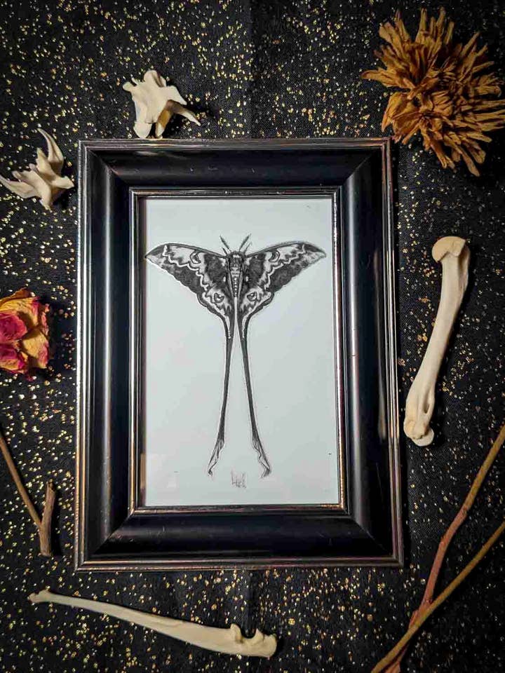 Silk Moth Embellished Framed Print for wholesale by Studio Umbralux