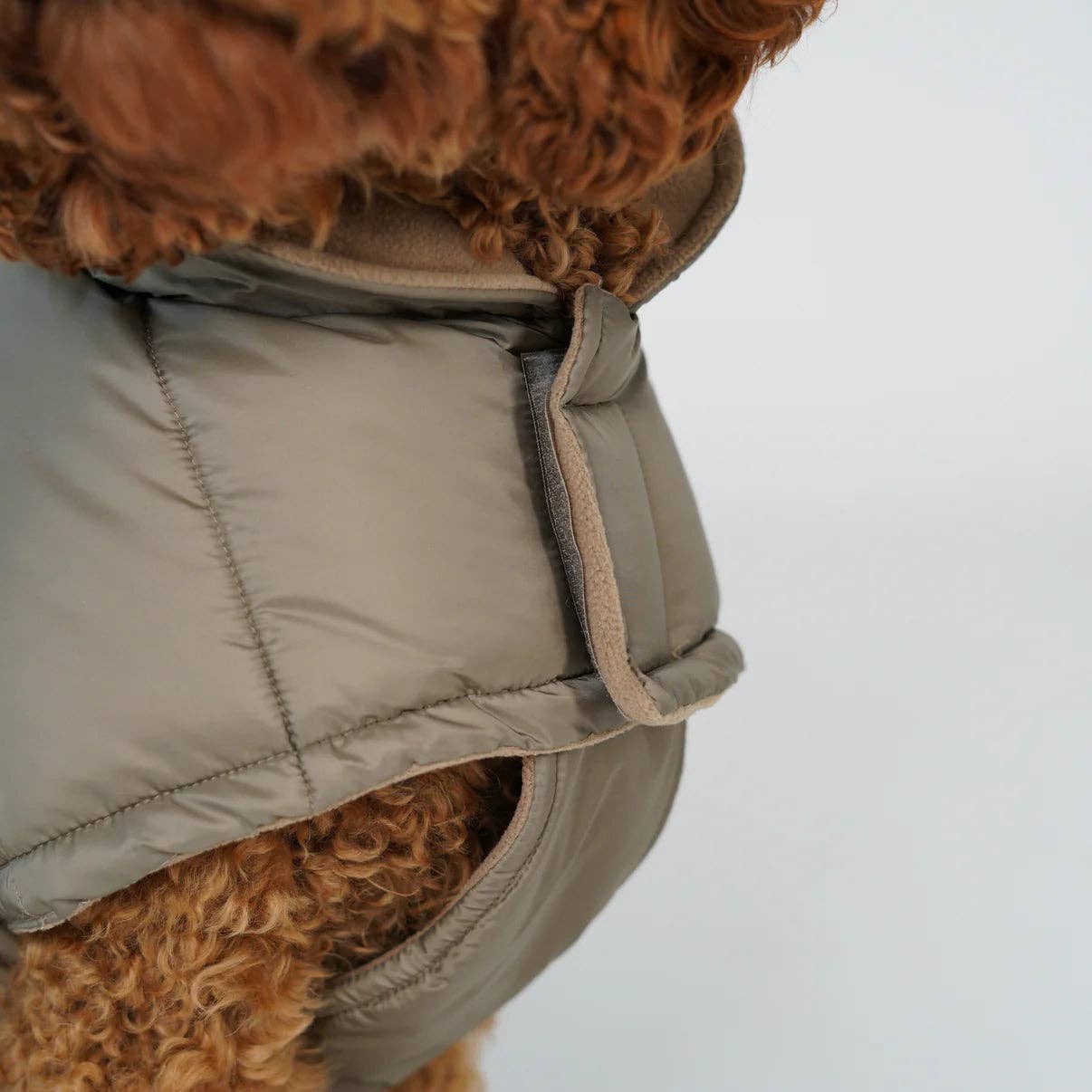 Staey - Wholesale Hondenjack - Hond - Nora Hondenjas | Taupe12