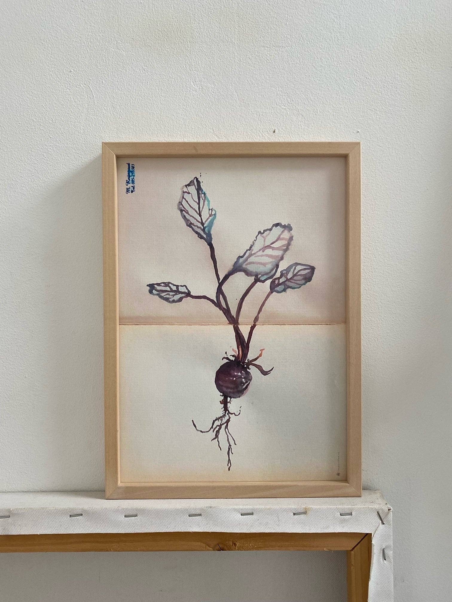 tinystories - Wholesale Art Print - Art Print "Beetroot"1