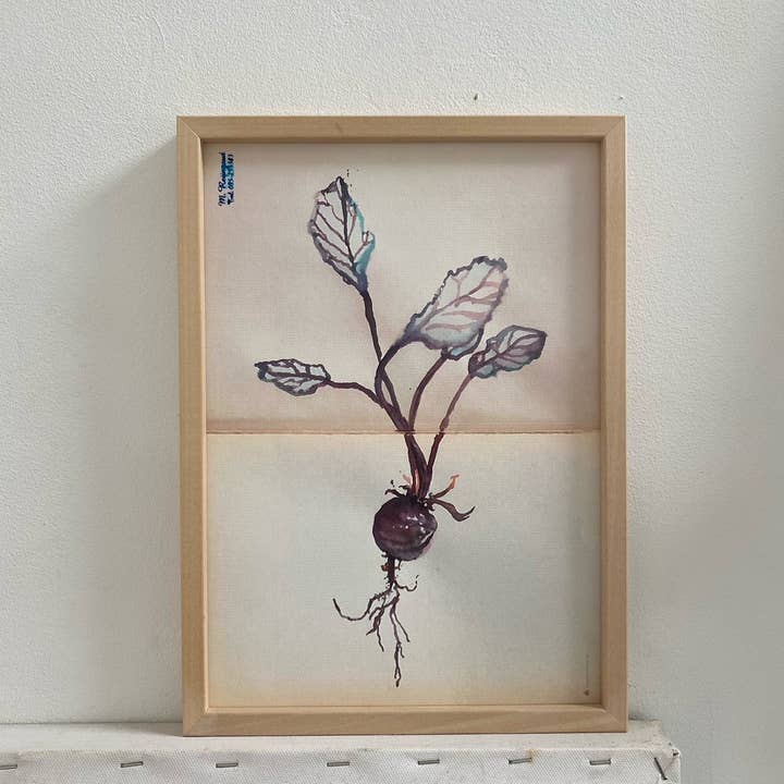 tinystories - Wholesale Art Print - Art Print "Beetroot"1