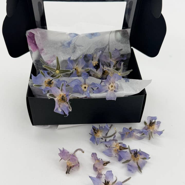 Freshly Preserved - Wholesale Dried/Dehydrated Vegetables - Freeze-Dried Edible Borage Flowers