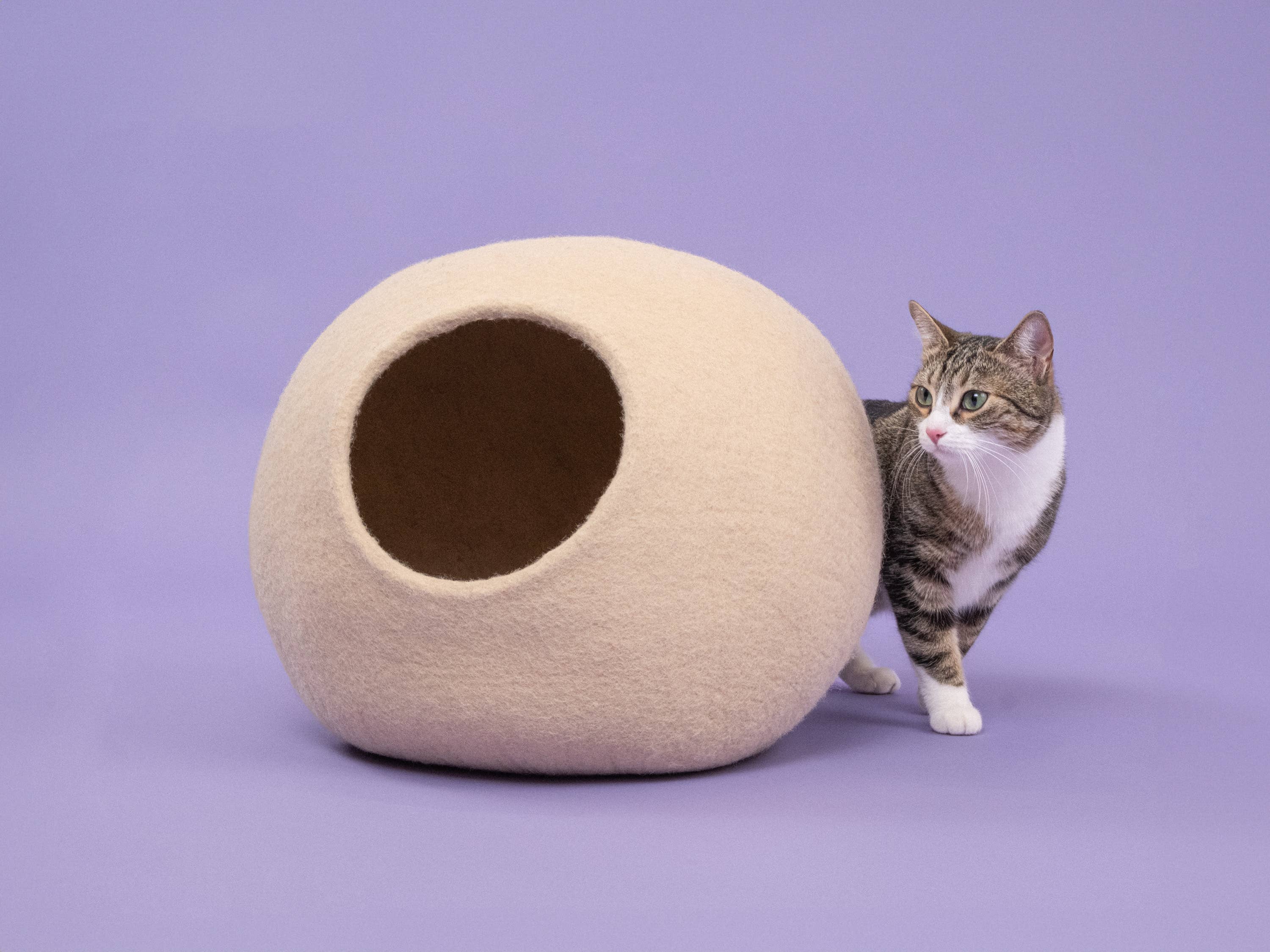 myfelt - Wholesale Pet Cave - Cat/Dog - Levi Katzenhöhle1
