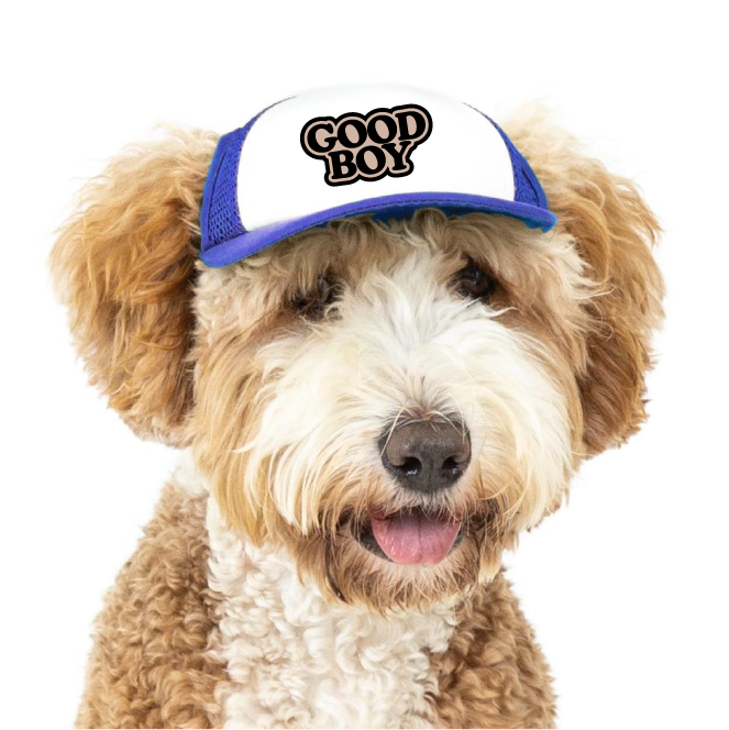 PupLid - Wholesale Pet Hat - Dog - Good Boy | Trucker Hat for Dogs8