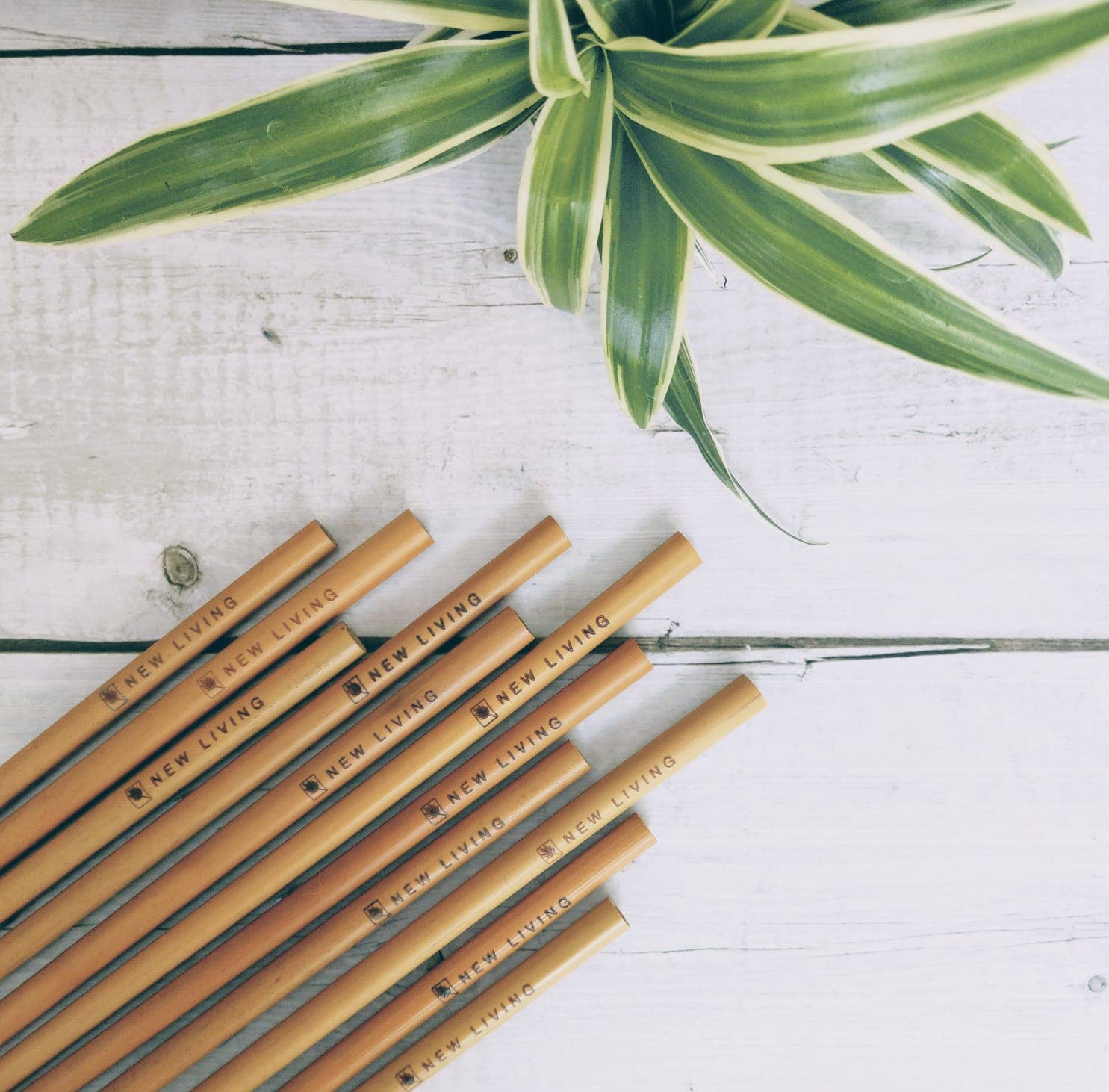 New Living – wholesale Drinking straw – Bamboo Straw Set | 5 Pack | Coconut Cleaner | Hessian Pouch2