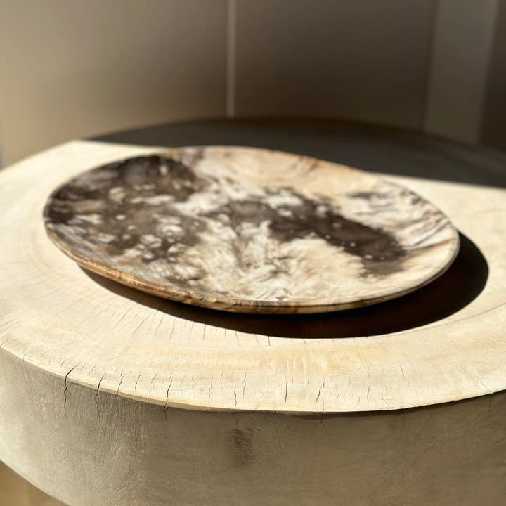 Office Objets - Wholesale Decorative Plate/Dish/Bowl - Very large catchall or dish in petrified wood39