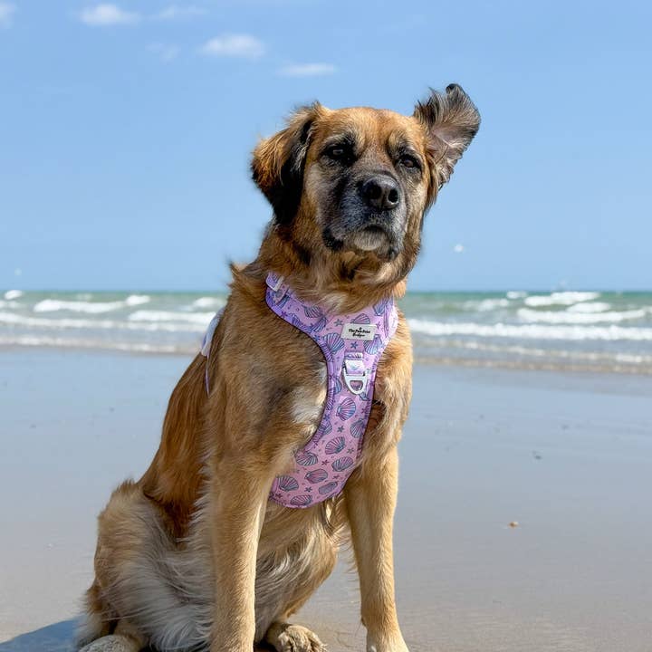 The Paw Print Boutique - Wholesale Pet Harness - Dog - Mermaids Tails Adventure Paws Harness5