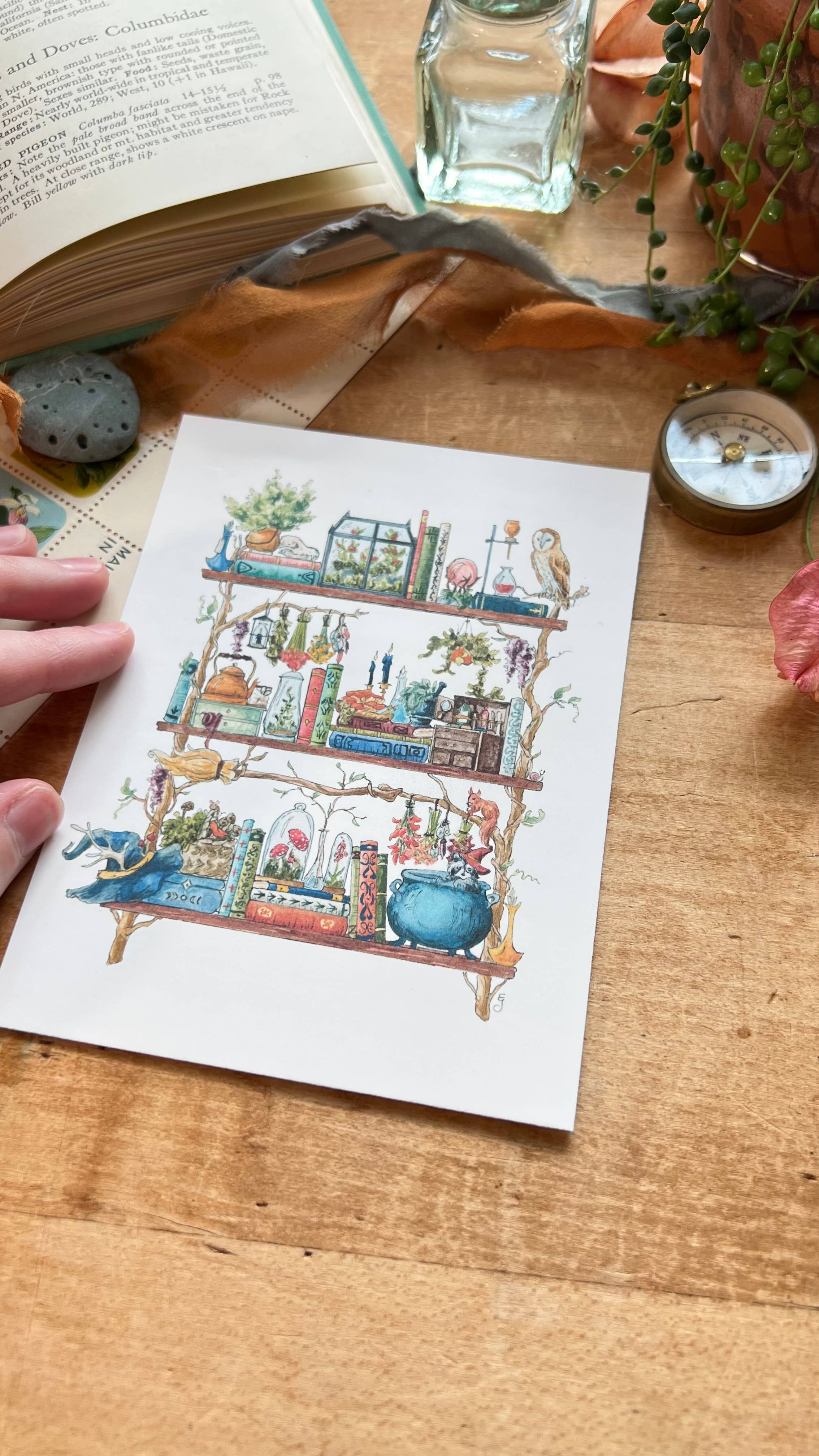 Lizzy Gass - Wholesale Postcard - The Forest Witch's Shelves Postcard7