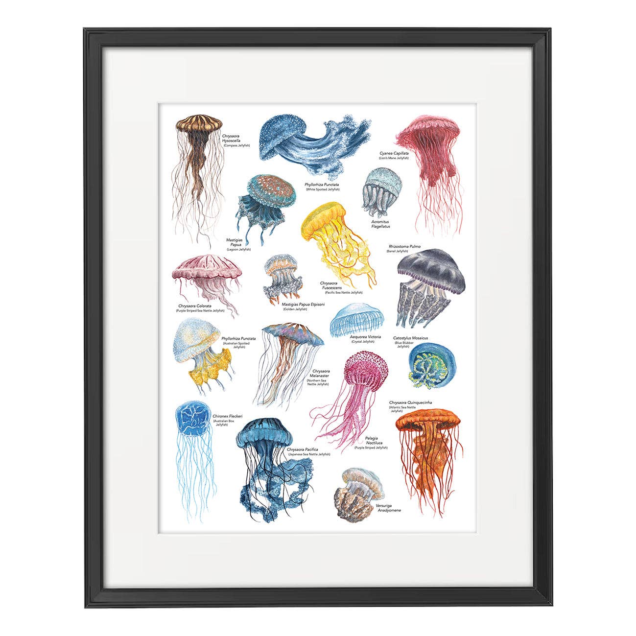 Lucy Locks Art - Wholesale Art Print - Jellyfish A3 Print4