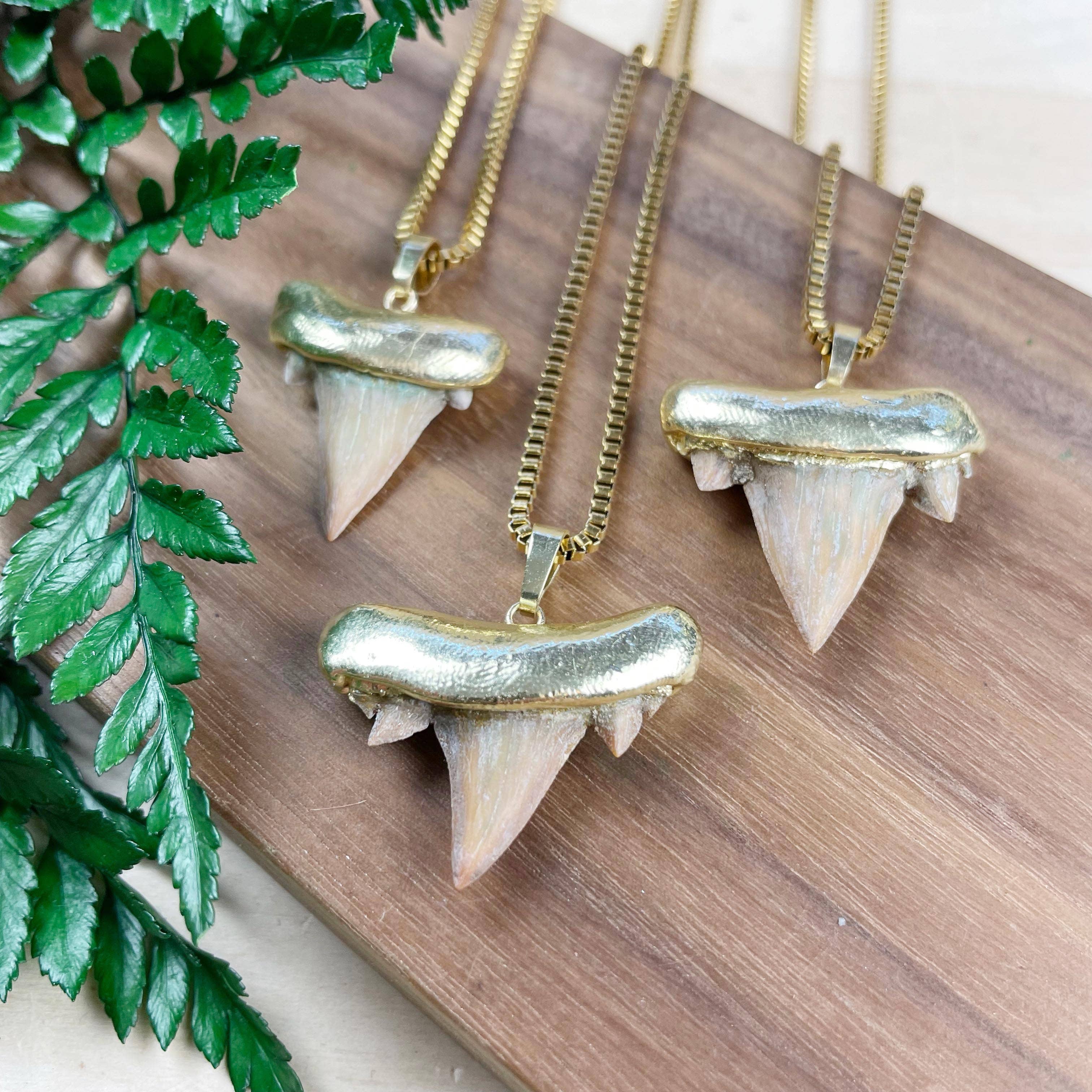 Ewelina Pas Jewelry – Engroshandel Halskæde med vedhæng – Halskæde med guldbelagt hajtand1