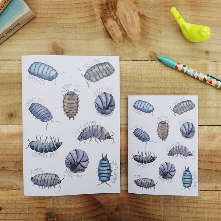 Regional Names for Woodlice Insect Illustrated Lined Noteboo for wholesale by Little Plover