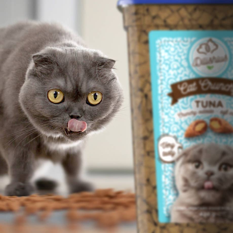 United Pet Brands - Vendita all'ingrosso Dolcetti per animali - Gatti - Croccantini per gatti al Tonno 2 x 420 g4