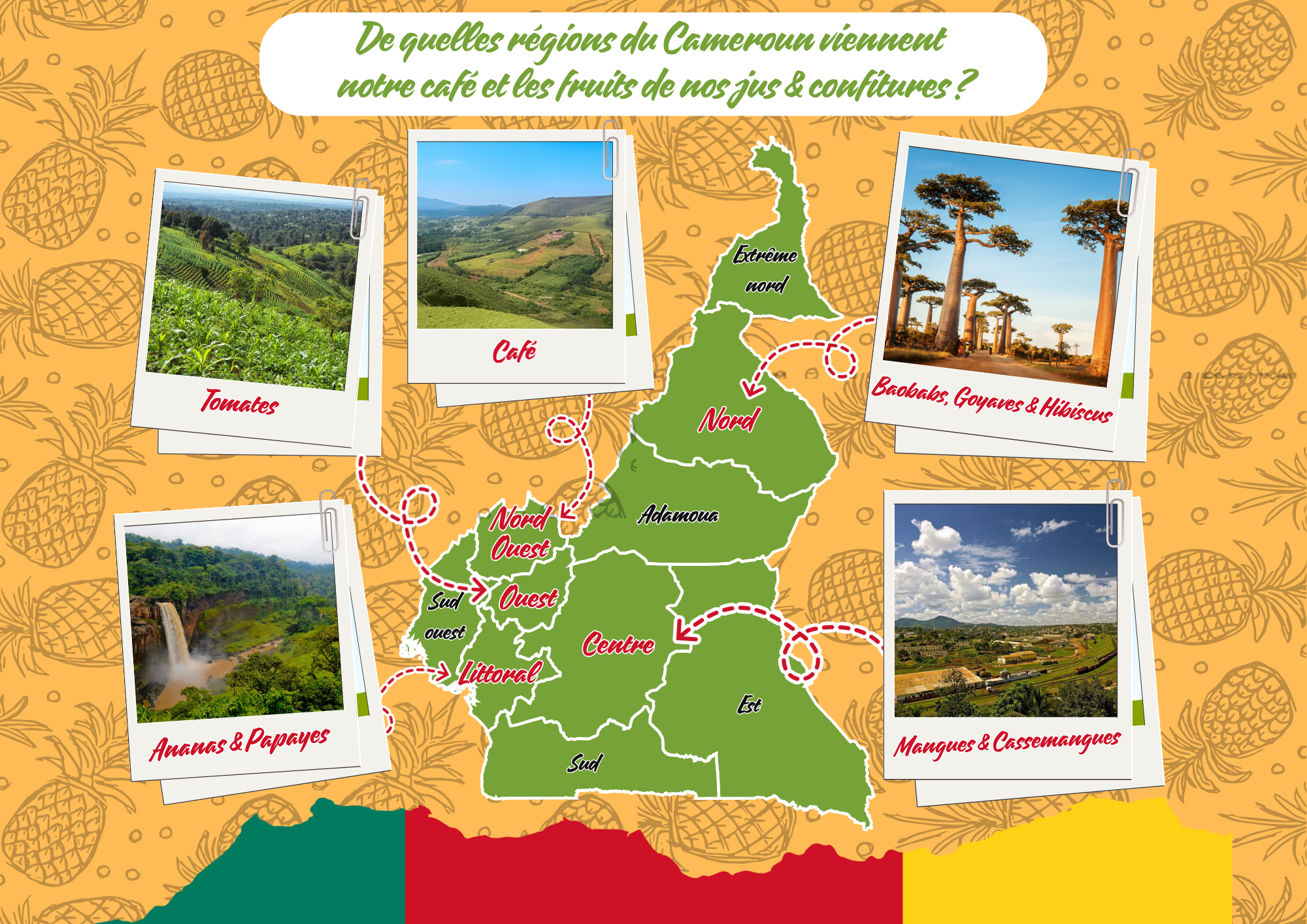 Épicerie des Savanes – wholesale Fruit juice – Artisanal Mango Juice1