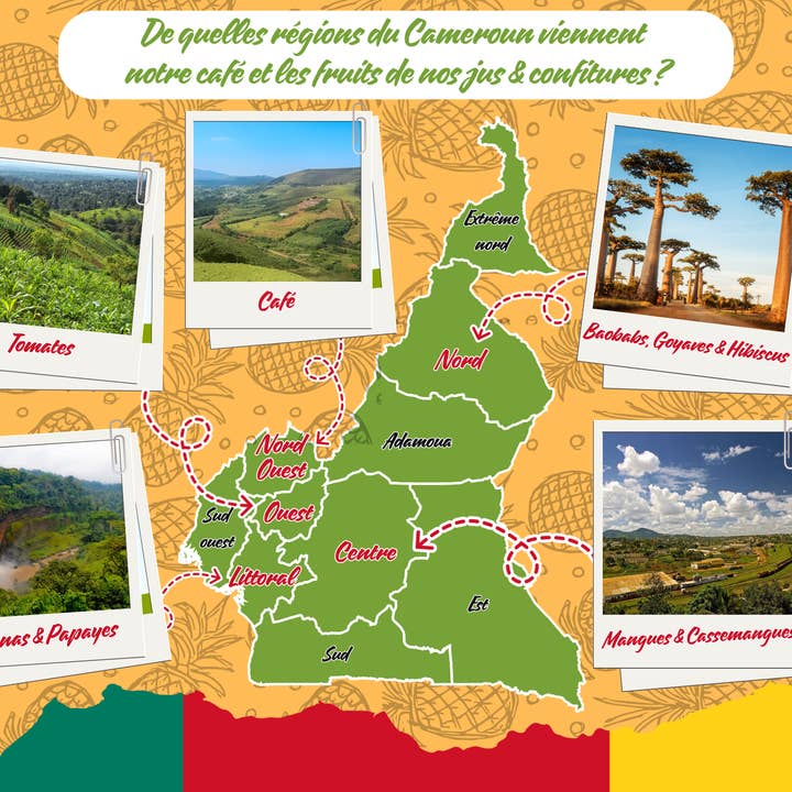 Épicerie des Savanes – Großhandel Fruchtsäfte – Handgemachter Mangosaft1