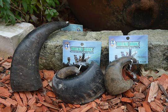 QT Dog, LLC - Wholesale Pet Treats - Dog - Buffalo Hornz4