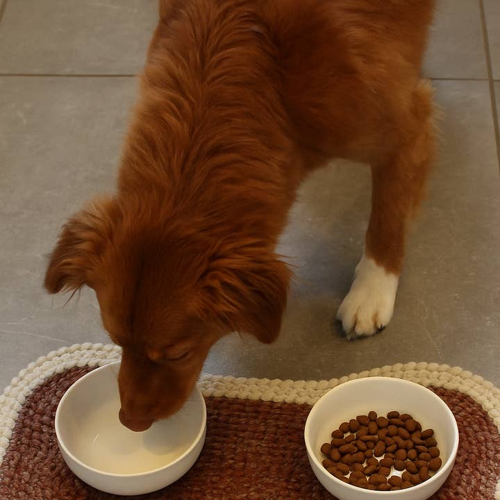 BlacKarz Home Decor - Wholesale Pet food mat – Dog - Bone-Shaped Washable Dog Feeding Mat0