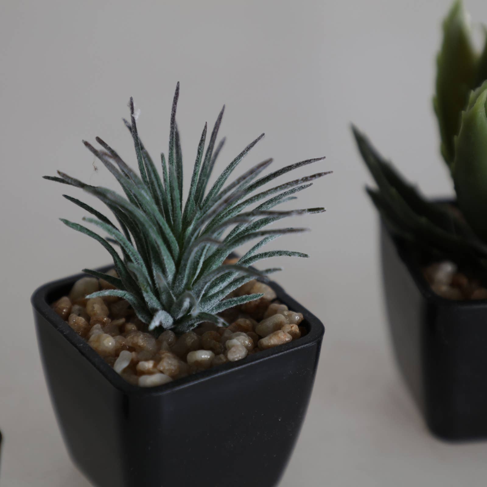 B&B - Wholesale Succulent - Assorted Green Plastic Succulent Plant 7 5X5X7cm2