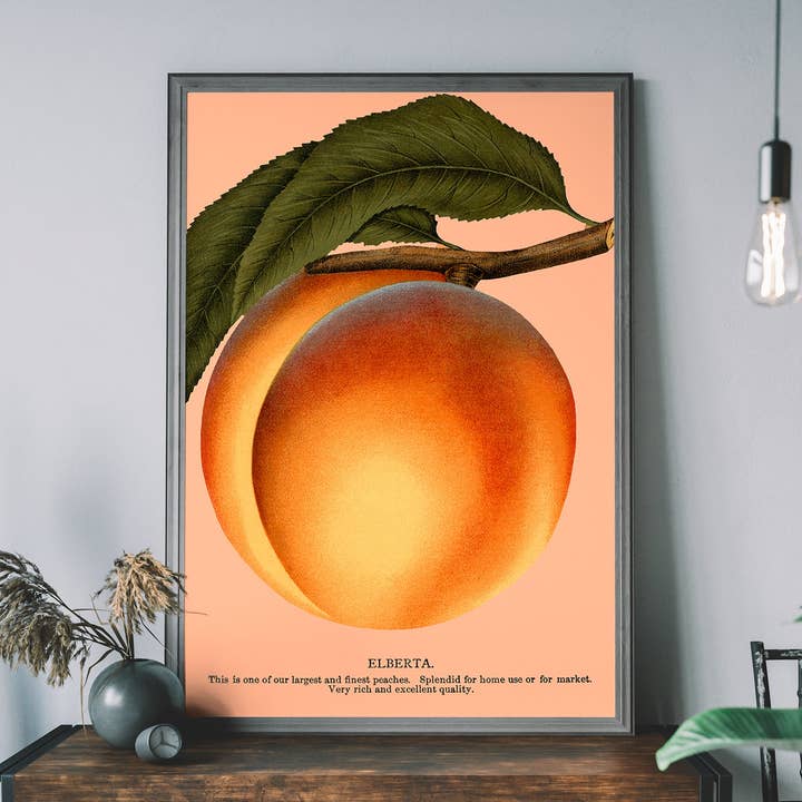 Large Vintage Elberta Peach Print for wholesale by Ink & Drop
