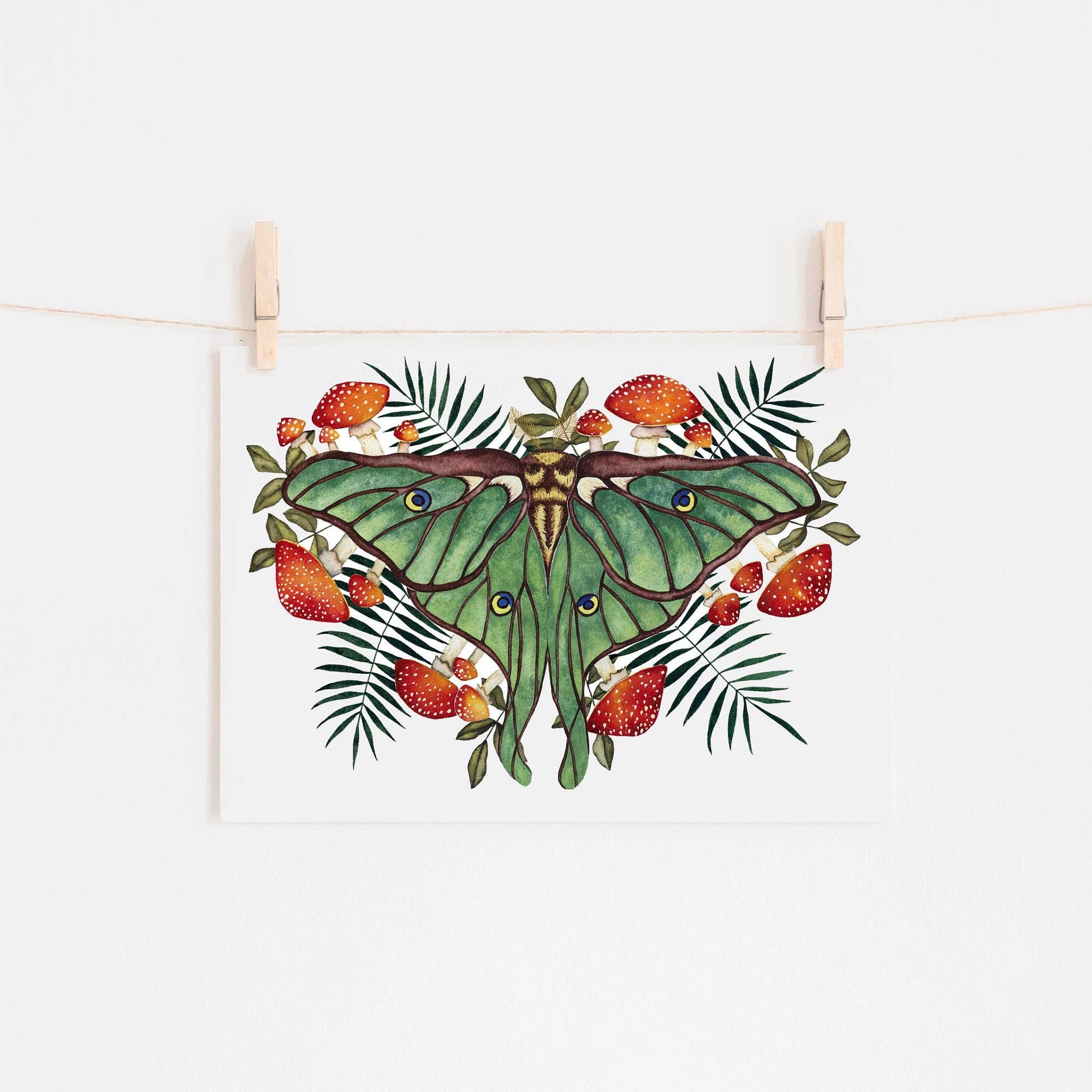 Candace Fincher – Großhandel Kunstdruck – Amanita Muscaria Magic Mushroom Kunstdruck//Luna Moth6