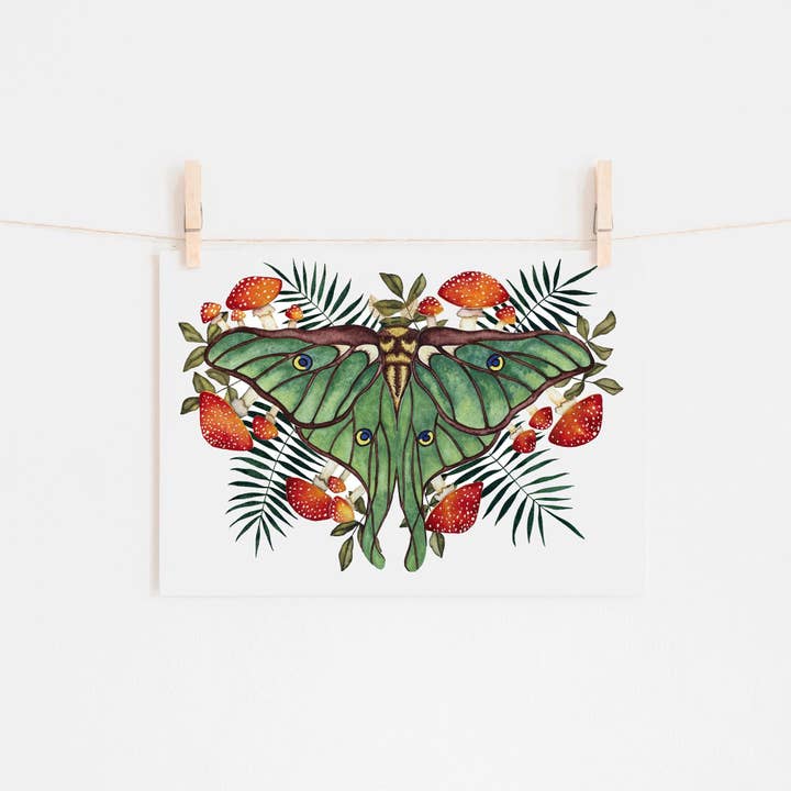 Candace Fincher – Großhandel Kunstdruck – Amanita Muscaria Magic Mushroom Kunstdruck//Luna Moth6