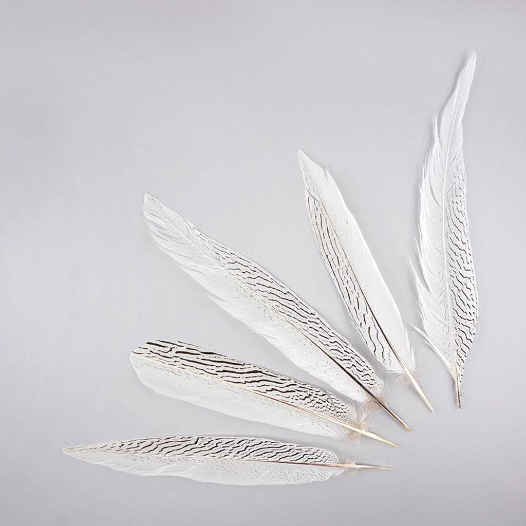 Zucker Feather Products - Vente Plume - Plumes de queue de faisan argentées - Naturelles3