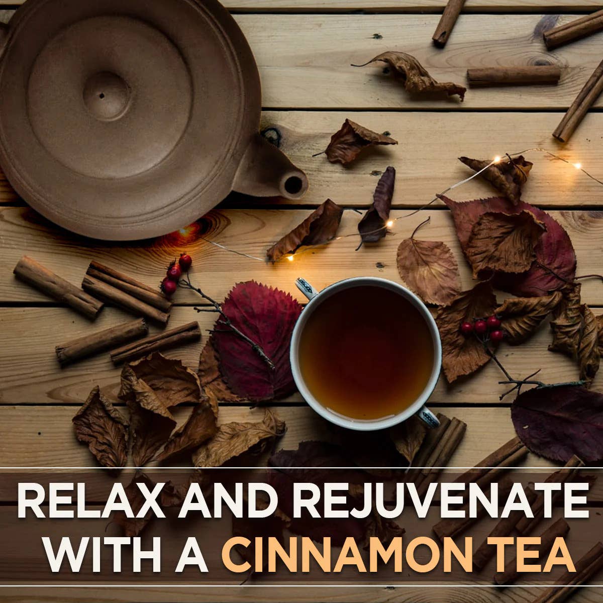 Tea4u - Wholesale Tea Bags - Cinnamon Black Tea5