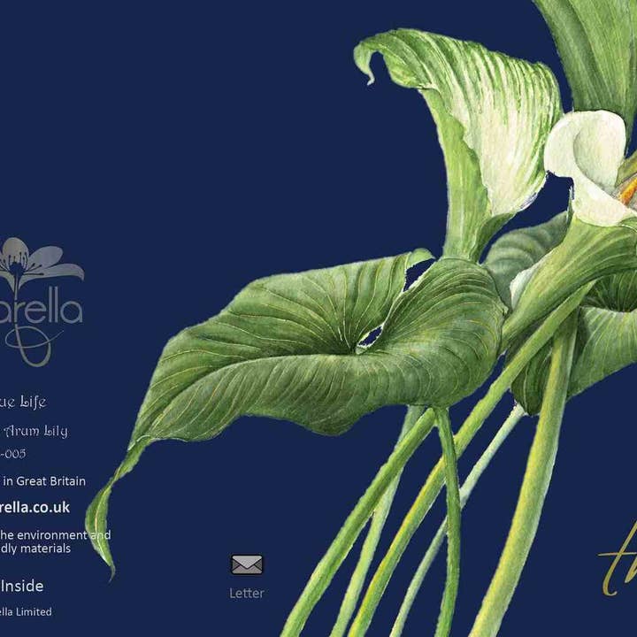 Carte de voeux aquarelle - Fleur de lys Arum blanc pour la vente par Zaquarella