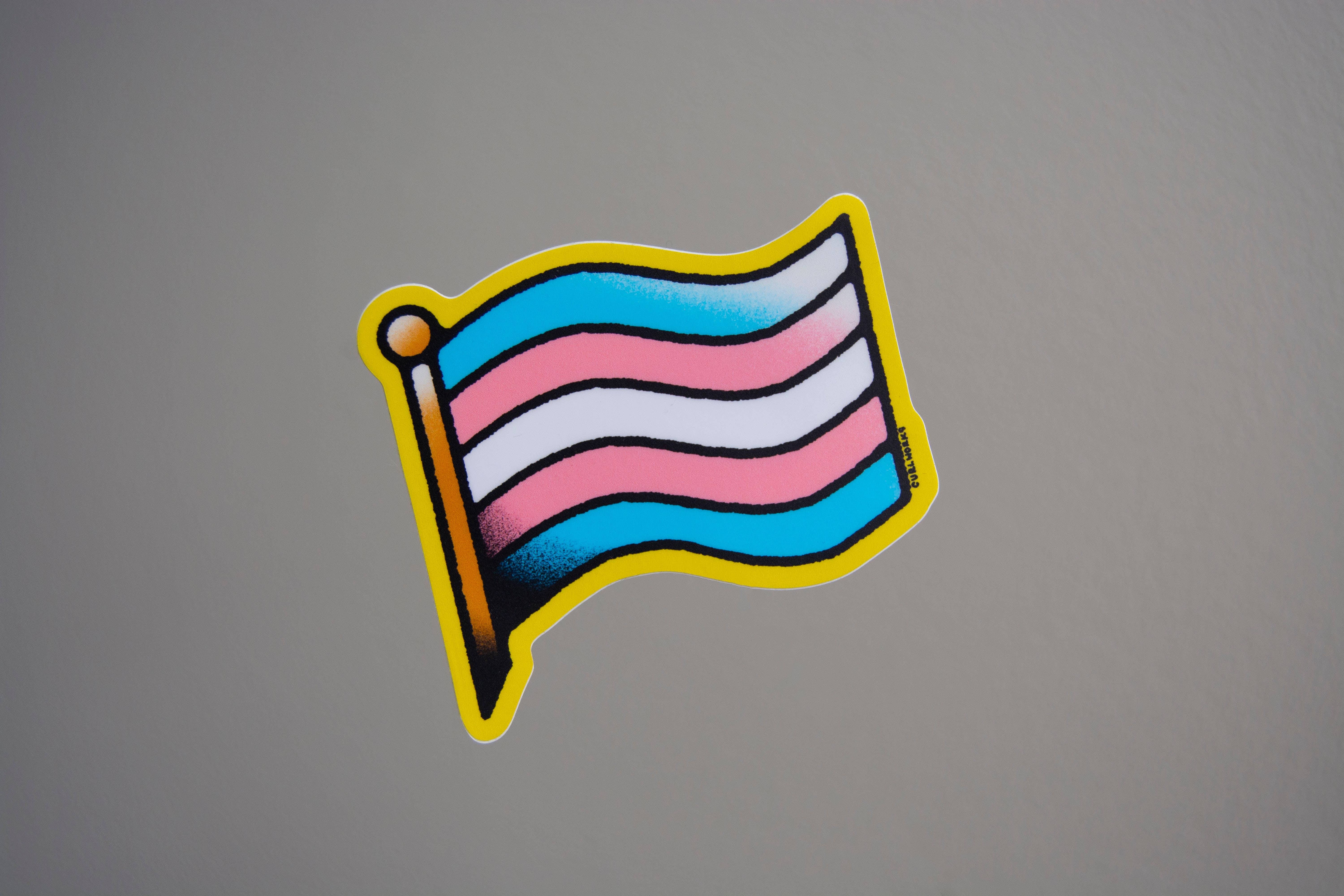 Curlworks - Wholesale Sticker - Trans Pride Flag Vinyl Sticker0