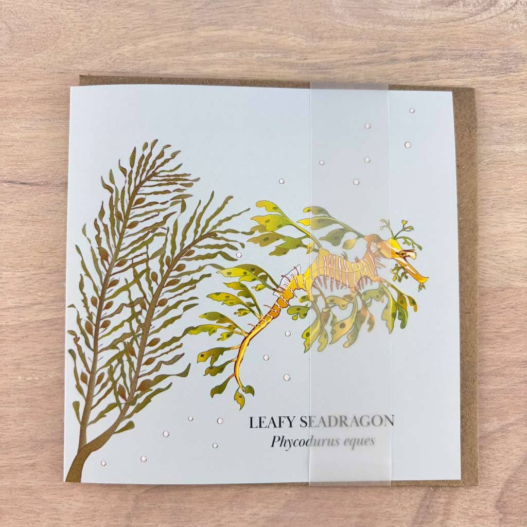 Lucky Little Penguins - Wholesale Everyday Greeting Card - Card Leafy Seadragon3