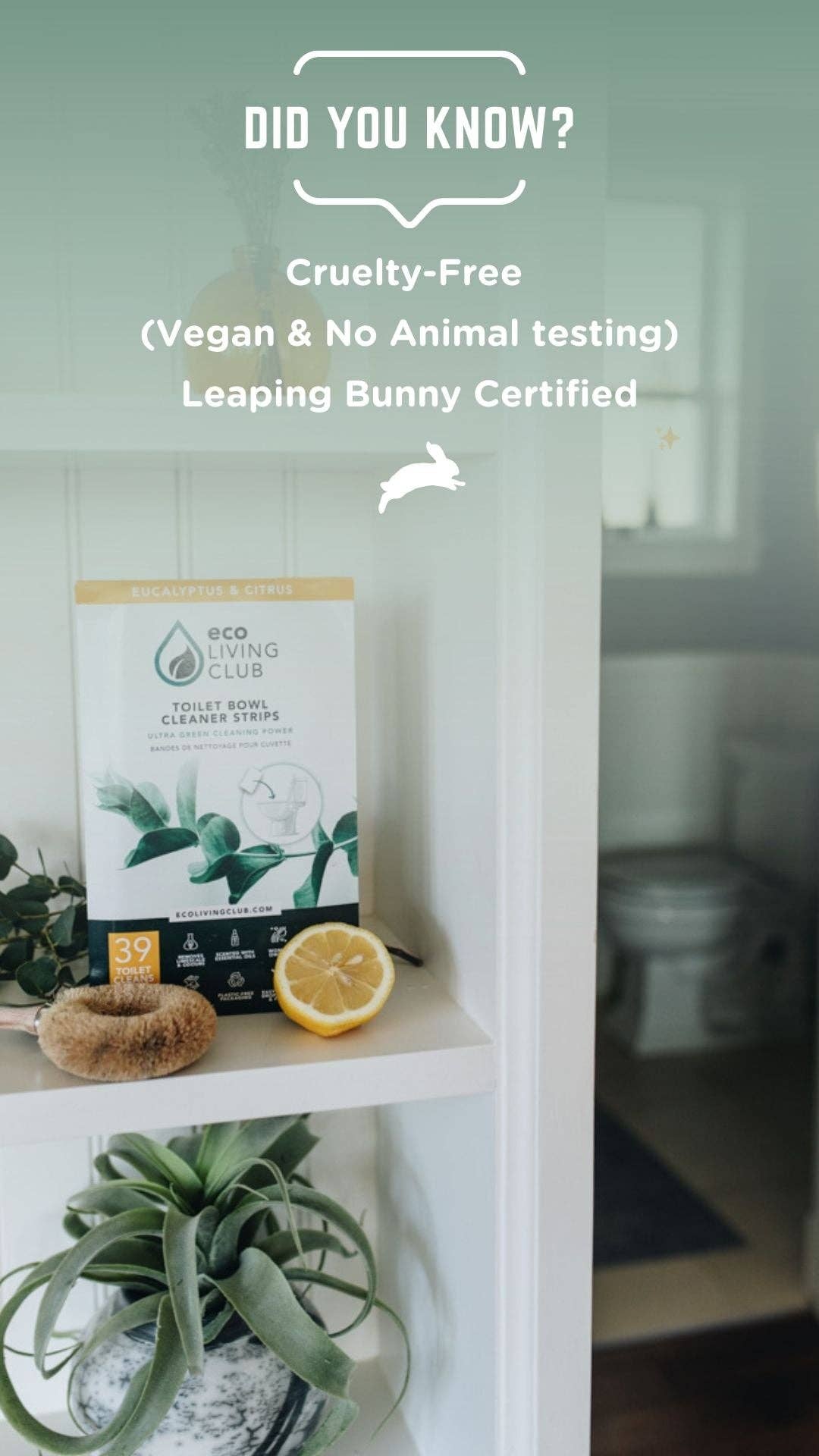 Eco Living Club - Wholesale Toiletreiniger - Eco Living Club Toiletbleekstrips met eucalyptus en citrus6