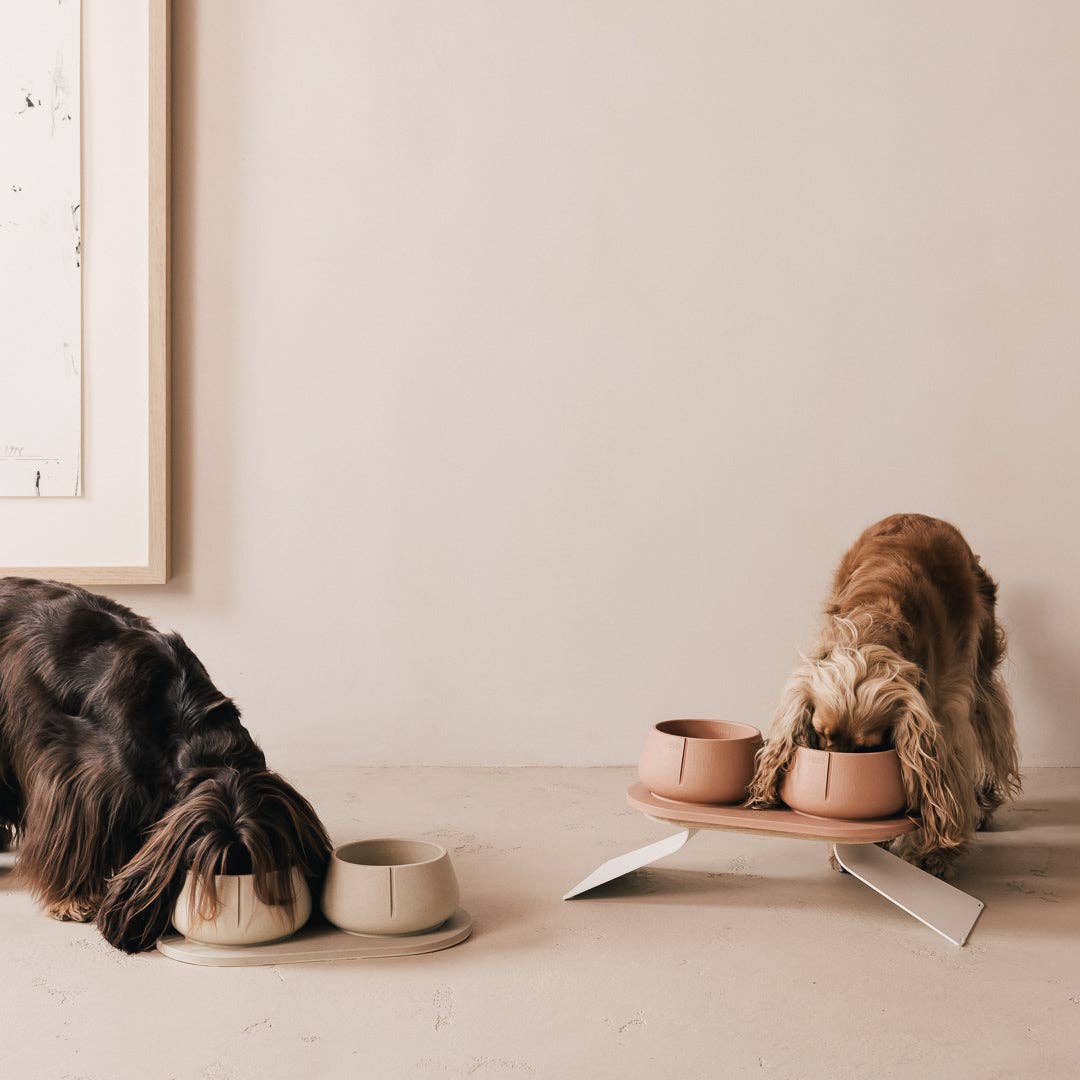 PINO - Wholesale Drinkbak - Kat/Hond - Trays voor honden54