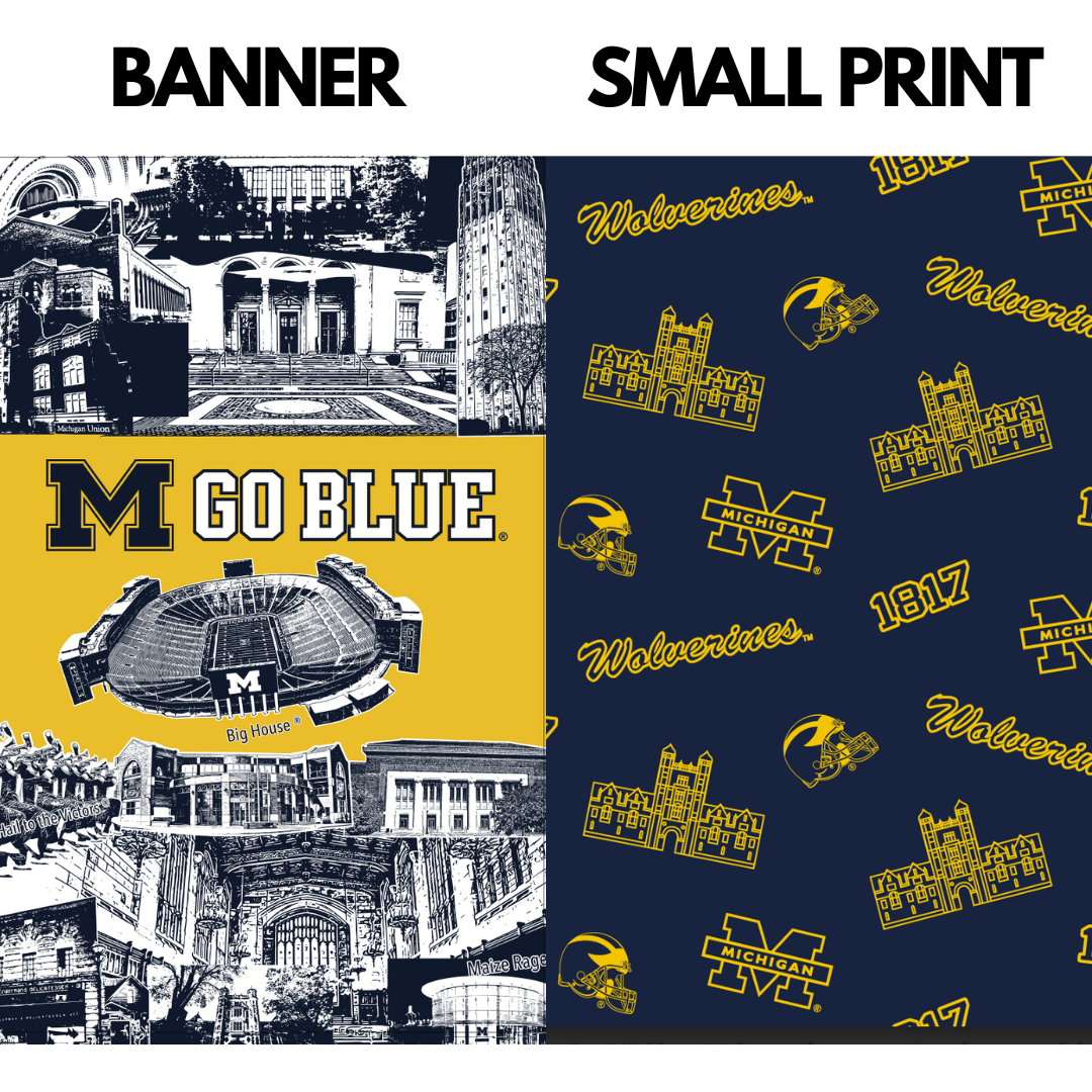 Varsity Cooler - Wholesale Cooler/Cooler Bag - University of Michigan Backpack Cooler5