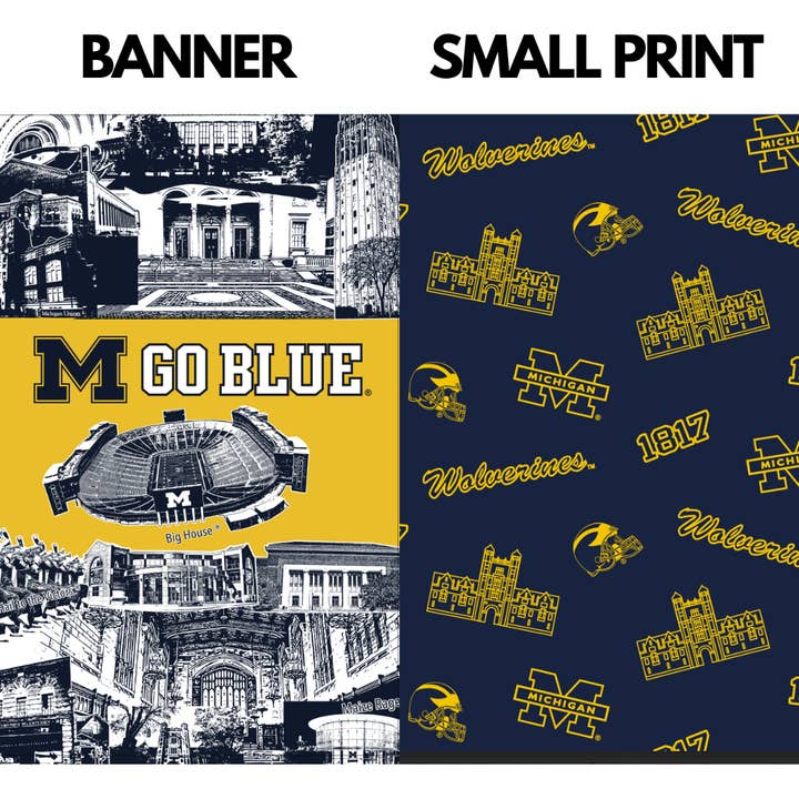 Varsity Cooler - Wholesale Cooler/Cooler Bag - University of Michigan Backpack Cooler5