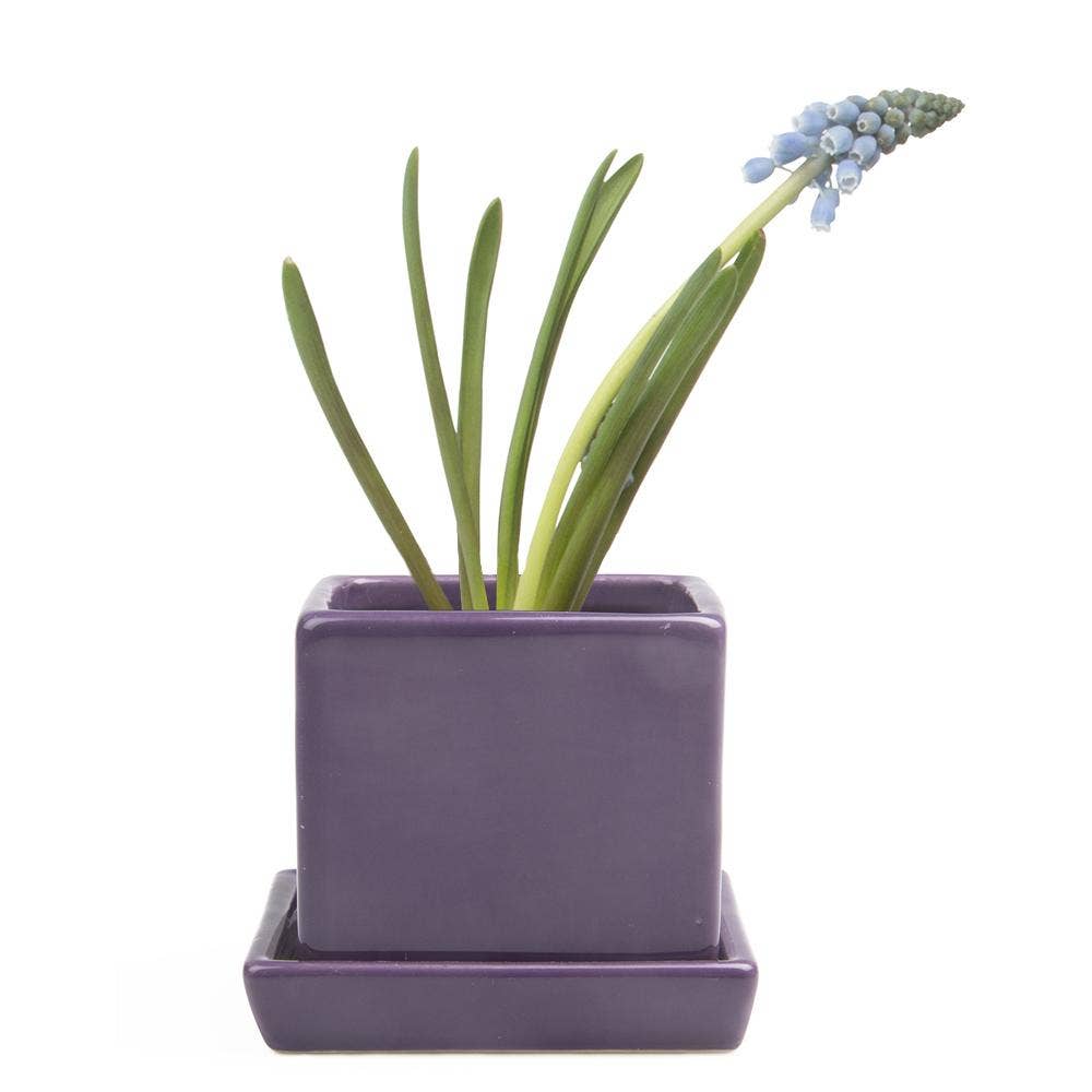 Chive - Wholesale Plant Pot - Cube Pot With Saucer And Drainage Hole 60 Plus Colors19