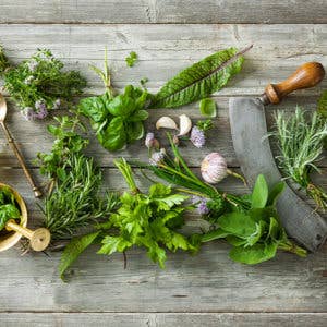 Italian Herb Dark Balsamic Vinegar for wholesale by The Tangy Olive