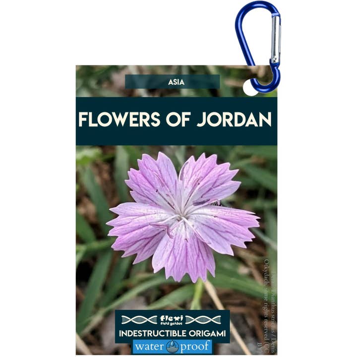 Flowers of Jordan-Indestructible Origami for wholesale by Flexi Field Guides
