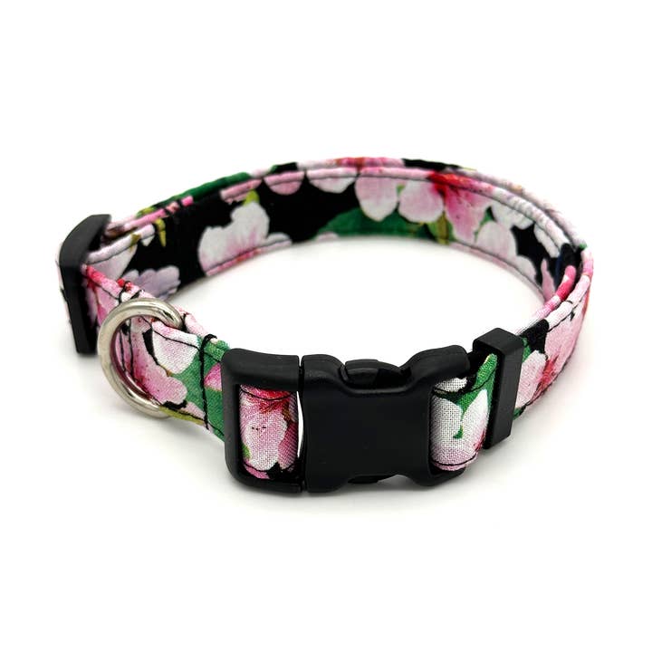 Cherry Blossom (Black) Dog Collar for wholesale by Winthrop Clothing Co.