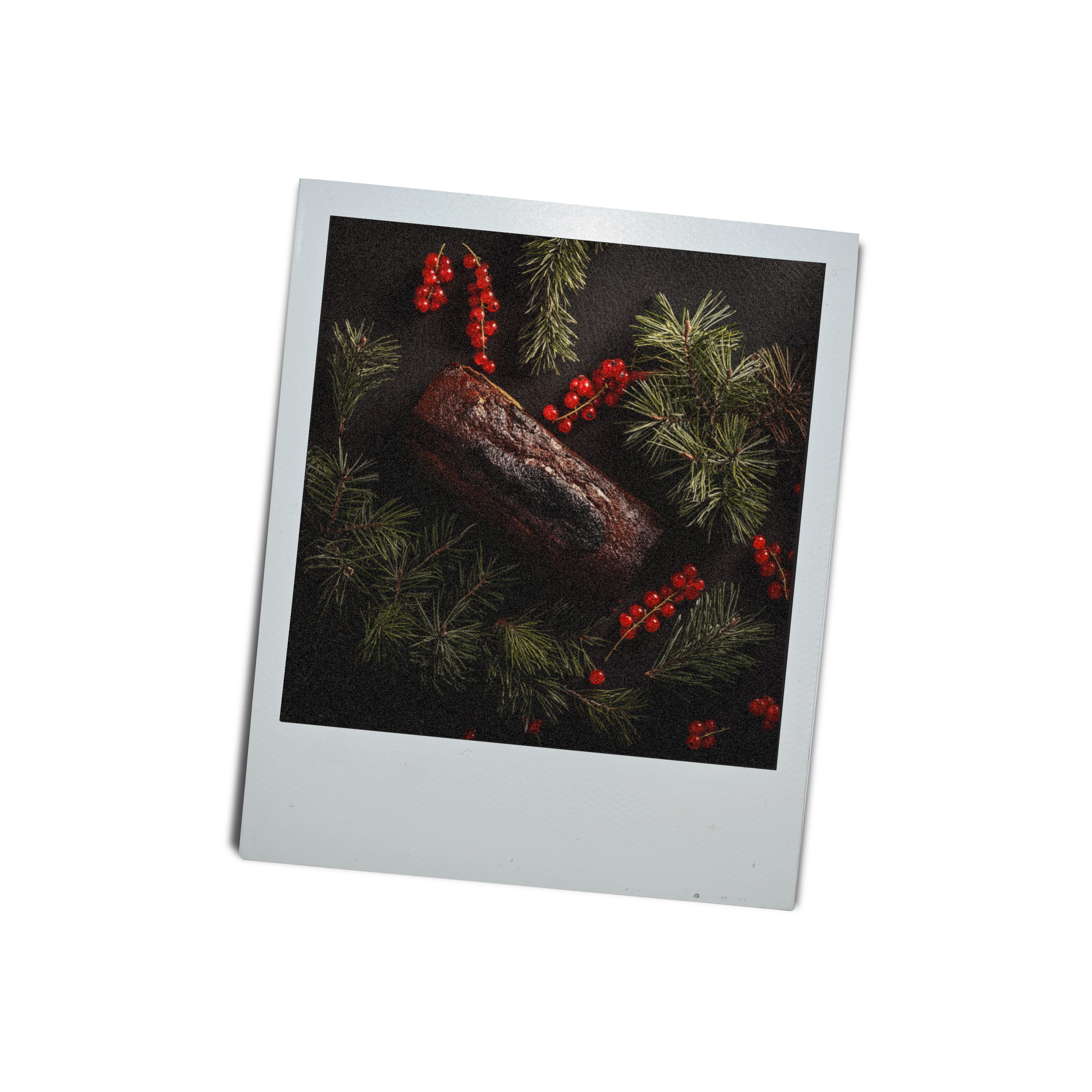 Gibbous Handmade - Wholesale Jar/Filled Candle - YULETIDE Candle | Pine Resin, Fir Needle, Currant + Cedar4