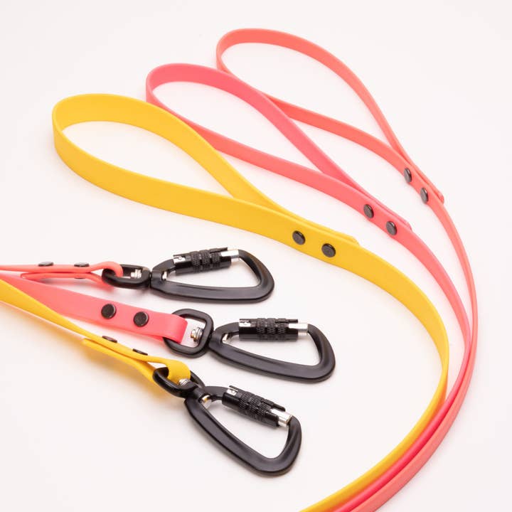 High Tail Hikes - Wholesale Pet Leash - Dog - Sport Leashes + Long Lines - Large Dogs (3/4" Width)26