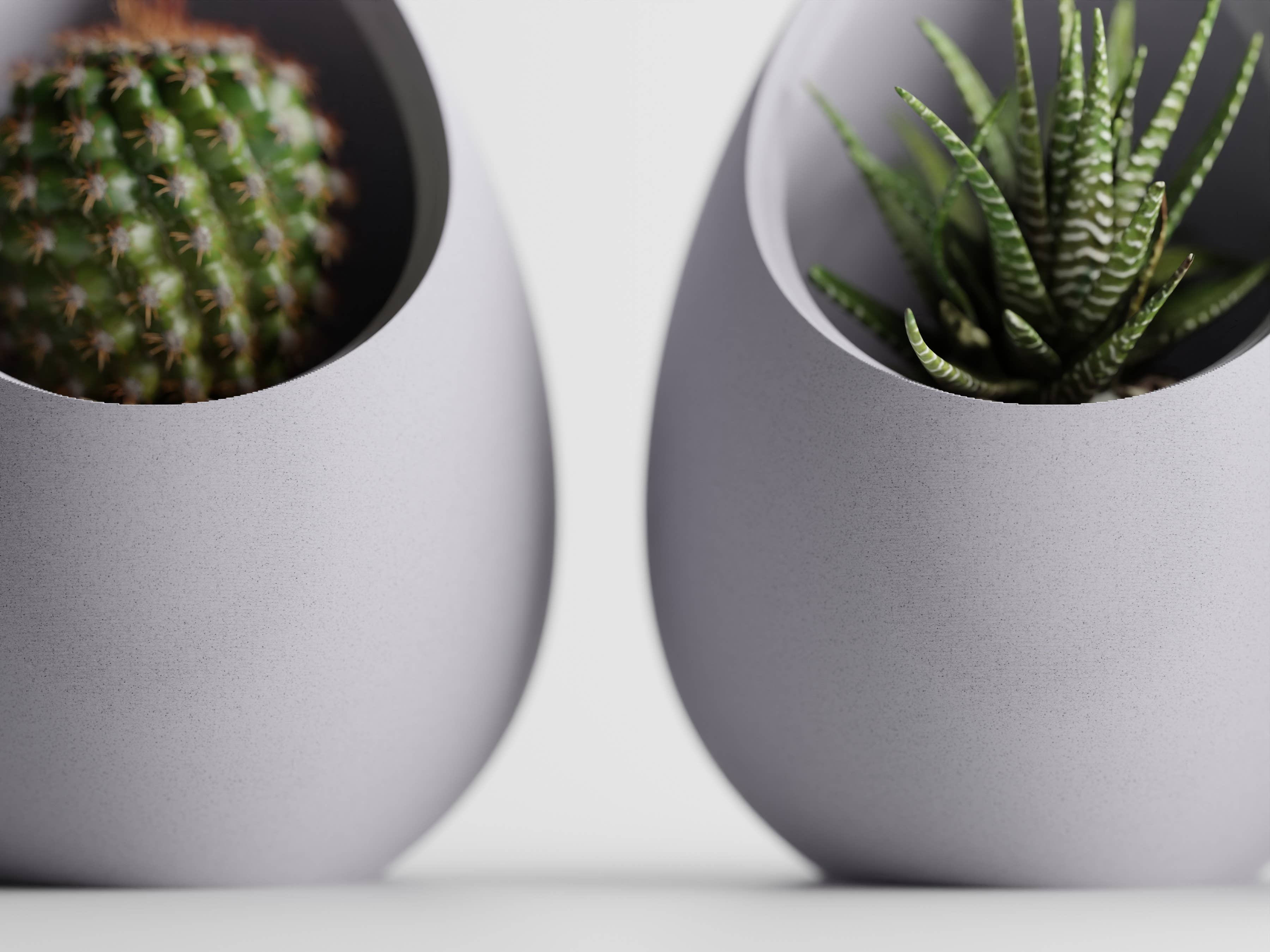 The Butler's Company - Wholesale Plant Pot - Succulent Plant Pot Egg Shape | Elegant Evergreen Container 3