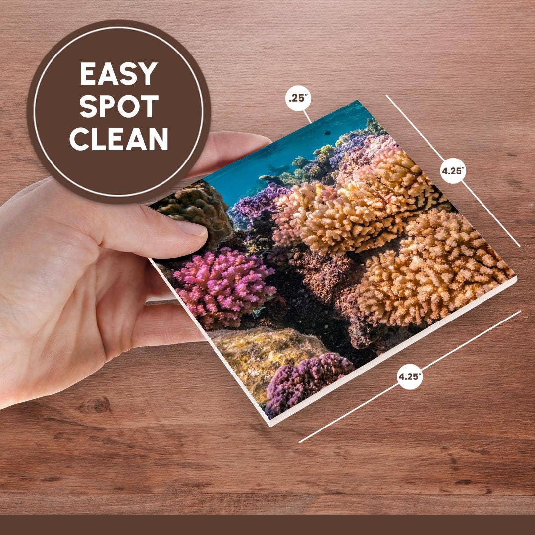 3dRose - Wholesale Coasters - 3dRose, French Polynesia, Bora Bora. Closeup coral garden., Coaster6