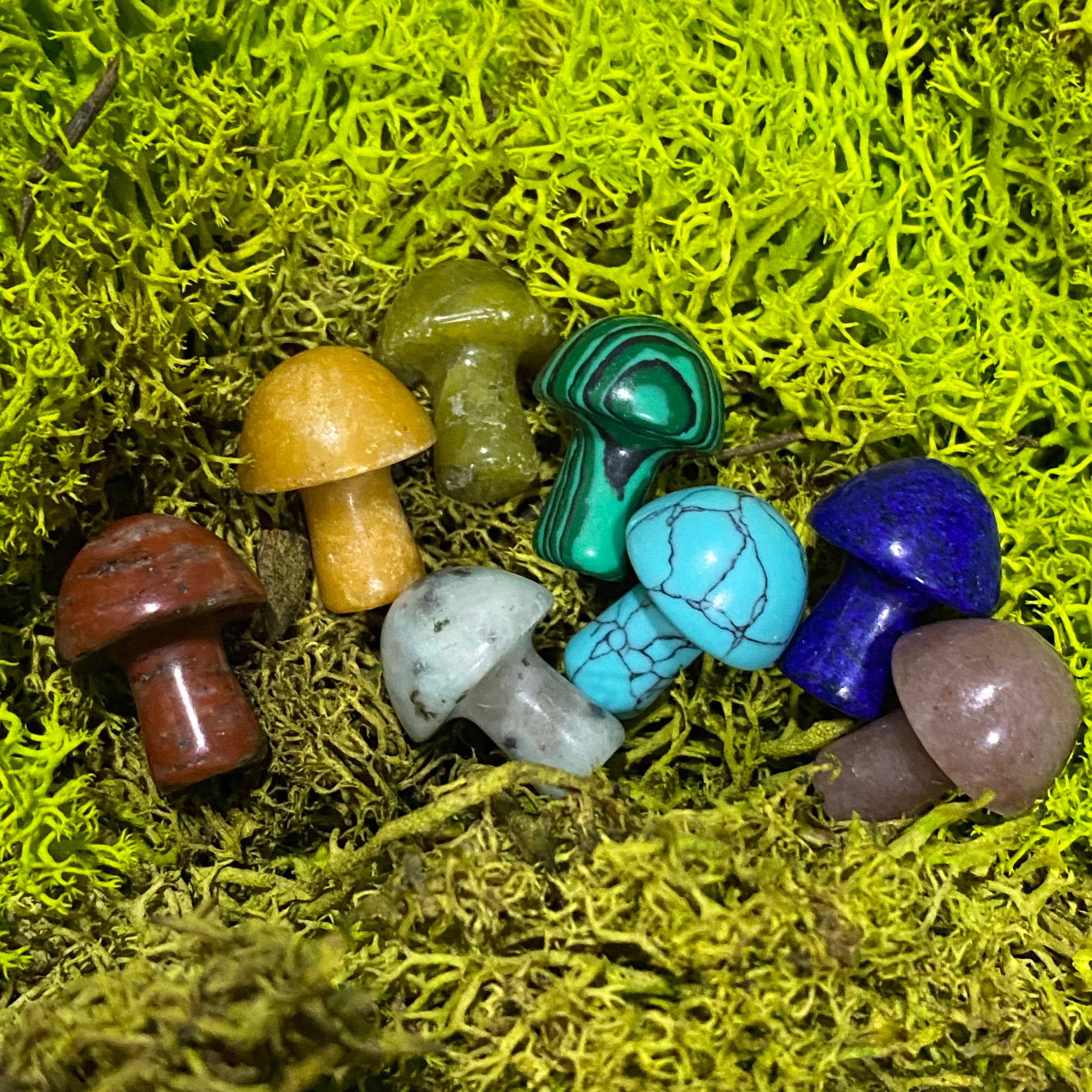 Wax Apothecary - Wholesale Spiritual Stone/Crystal - 🍄 Crystal Mini Mushroom Stone Assortment 🍄4