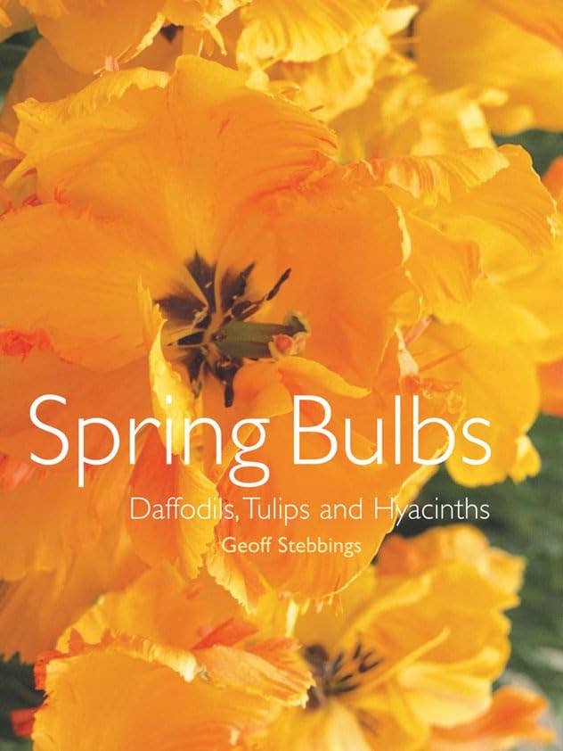 Spring Bulbs: Daffodils, Tulips, Hyacinths - Stebbings for wholesale by Boon Books