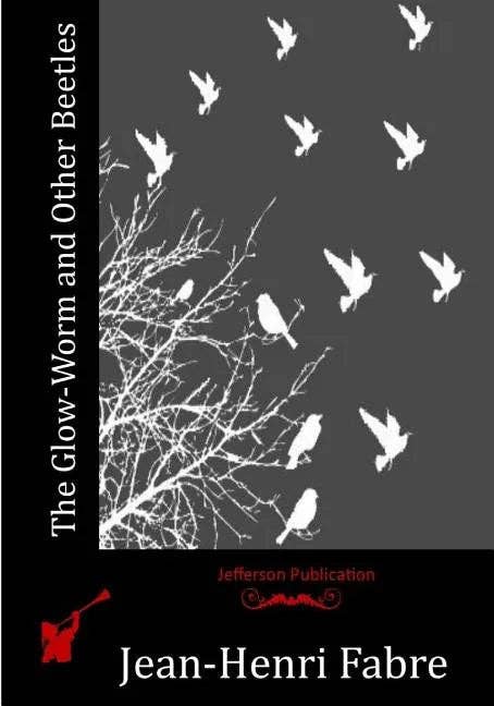 Books by splitShops - Wholesale Nature & Outdoors Book - The Glow-Worm and Other Beetles - Paperback0
